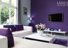 ambiance cuisine gris et violet